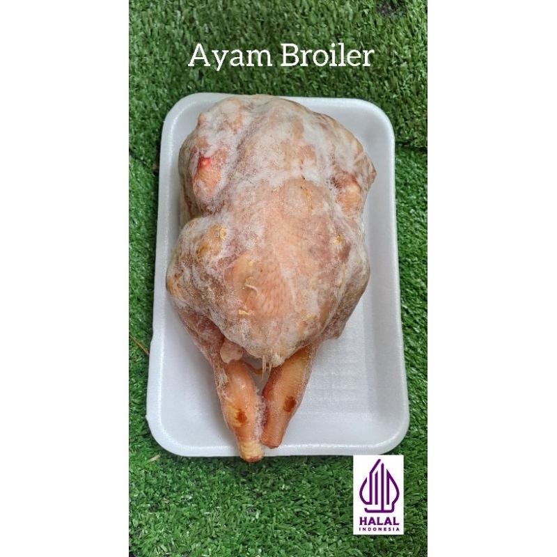 

Ayam Broiler Karkas / ekor 0,9 - 0,8