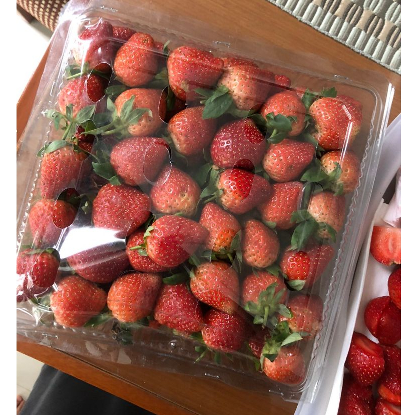 

Strawberry Fresh Premium 1kg Stroberi