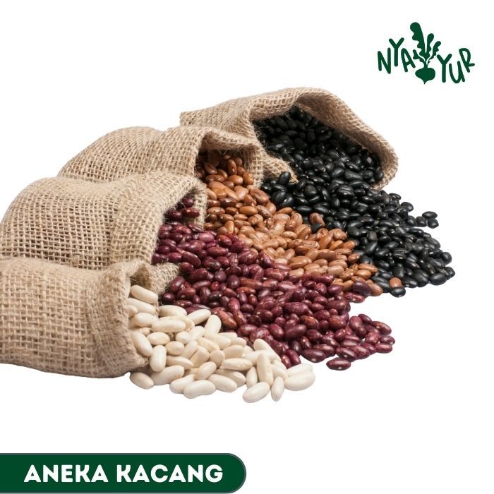 

INSTAN - Aneka Kacang