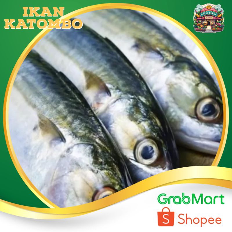 

Ikan Katombo isi 3-4-5 Tergantung Ukuran ~ Murah Pasar Induk Daring