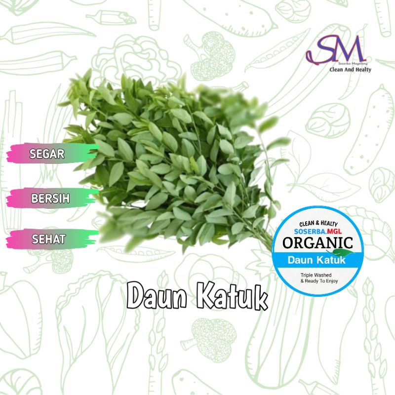 

Daun Katuk 100gr Fresh Soserba Magelang
