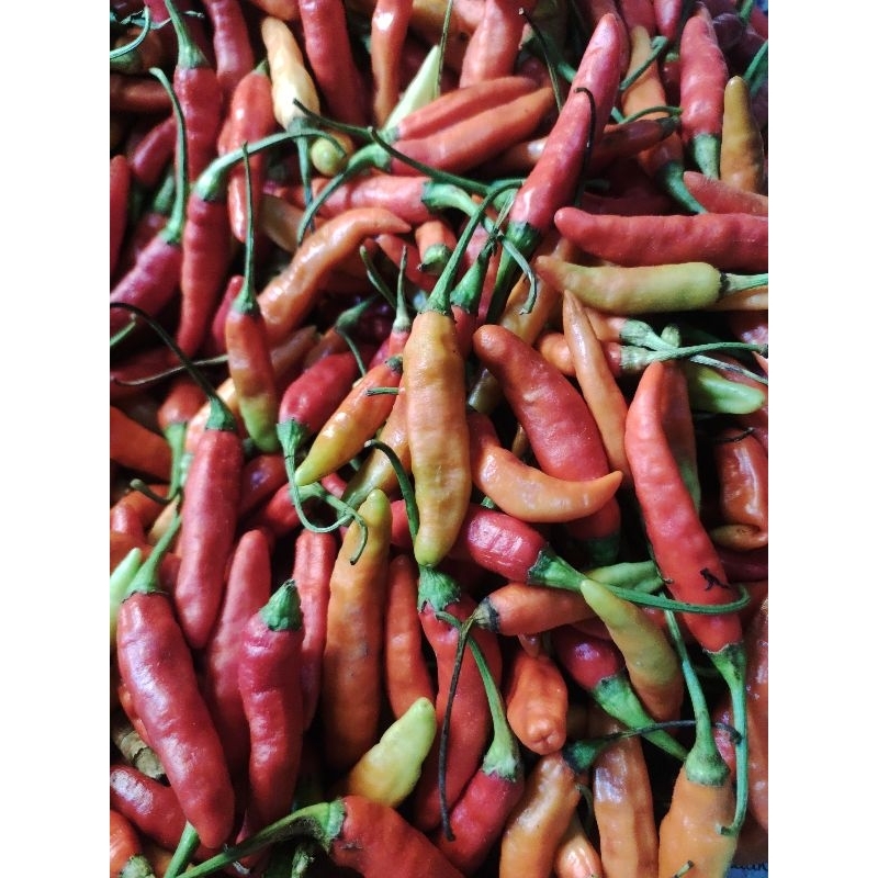 

Cabe Asmoro segar