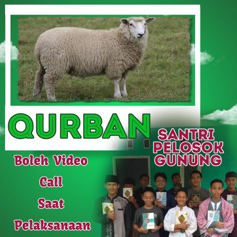 QURBAN KURBAN KAMBING DOMBA MURAH