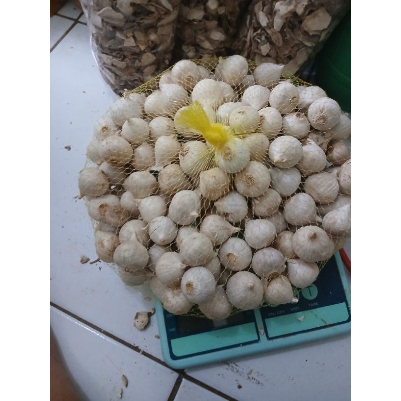 

Bawang putih tunggal lanang 250 grm fress