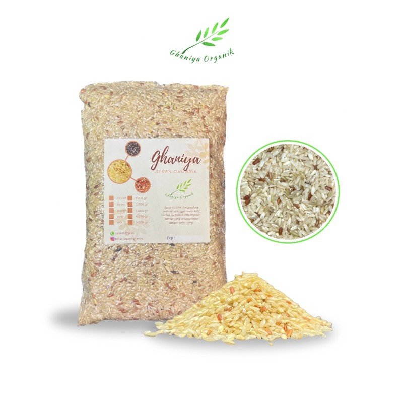

Beras Coklat Organik 1Kg - Ghaniya [Beras tinggi Serat , Beras Rendah Glukosa (IG), Menjaga Kestabilan Berat Badan, Beras untuk Menjaga kesehatan Jantung]