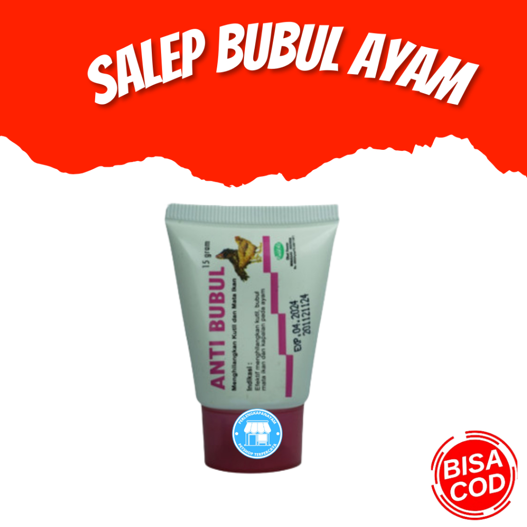 OBAT BUBUL SALEP Obat Ayam Bubulan Obat Ayam Terkena Bubul