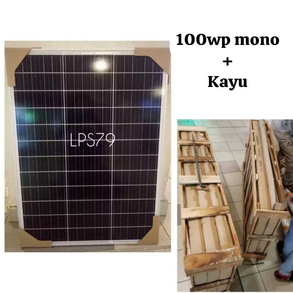 Solar Cell PV Panel Surya 100WP Mono Panel Surya 100 WP Monocrystaline