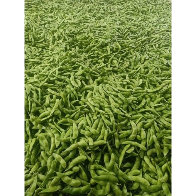 

Edamame - Kedelai Jepang Murah 1kg