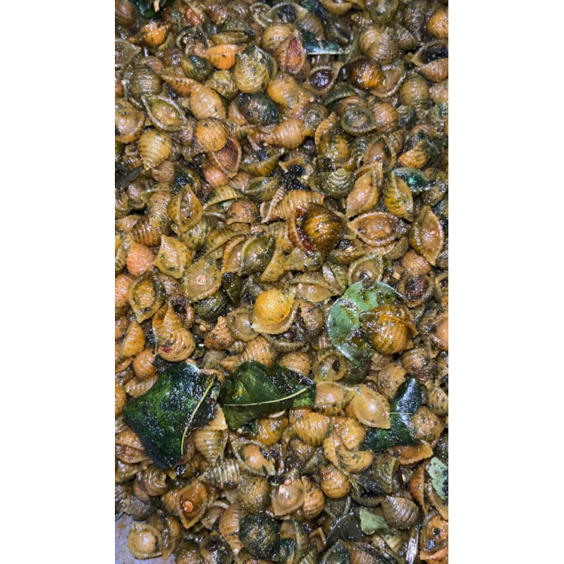 

Kerang rasa daun jeruk