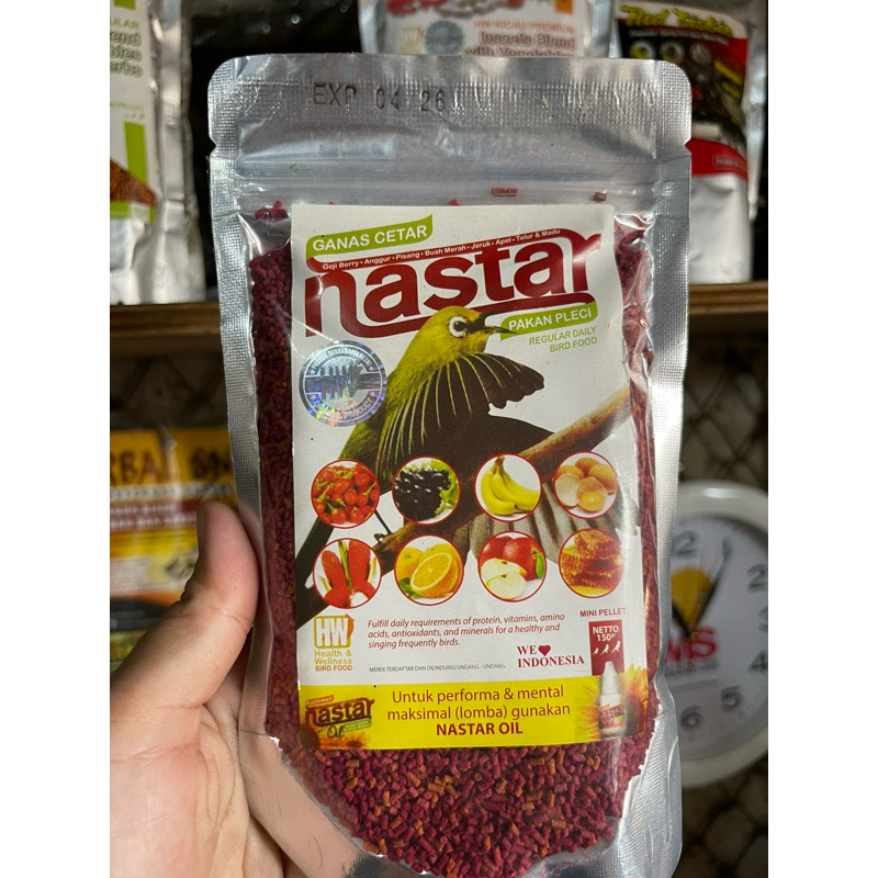 Pakan Pleci NASTAR