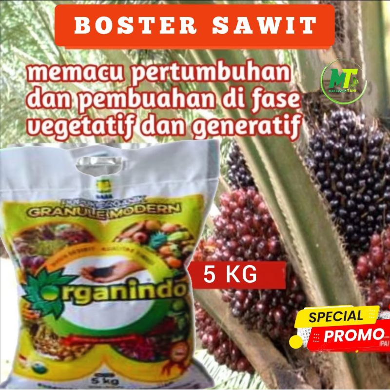 BOSTER SAWIT PUPUK ORGANINDO MEMACU PEMBUAHAN DAN MENYUBURKAN SAWIT