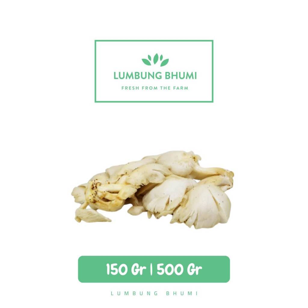 

Jamur Tiram Sayur - Lumbung Bhumi