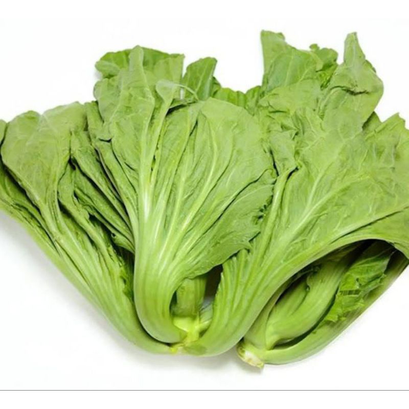 

sawi pahit berat 500grm