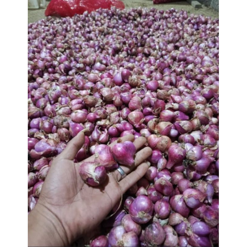 

BAWANG MERAH FRESS 500g