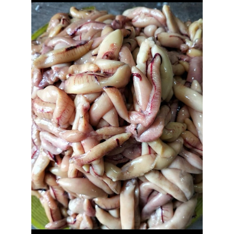 

telur ikan belanak / ci ahu neng