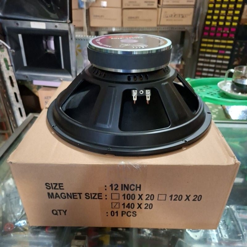 speaker array 12 in