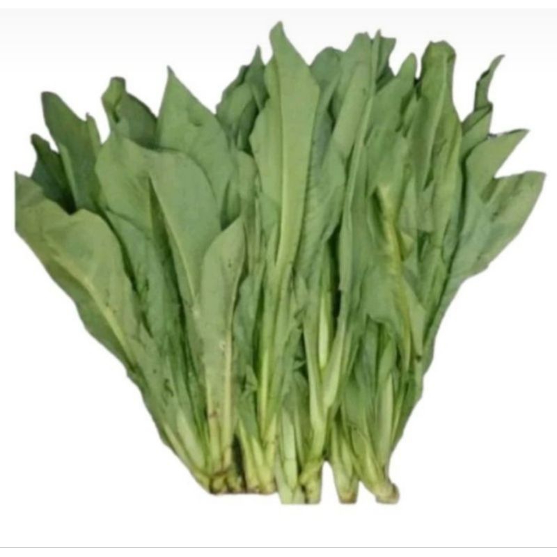 

sayur pumak segar 500gr