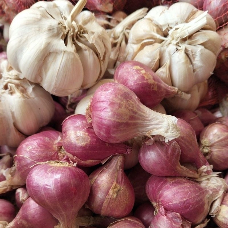 

bawang merah 500gram & bawang putih 250gr