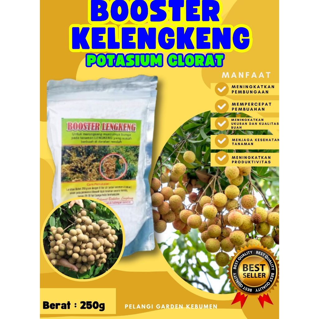 BEST SELLER ! Booster Kelengkeng Kclo 3 Murni, Booster Kelengkeng Kclo 3