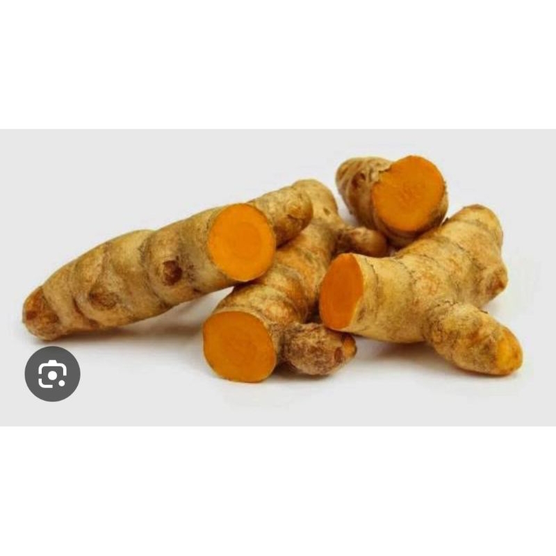 

TEMULAWAK UKURAN SEDANG 1 KG