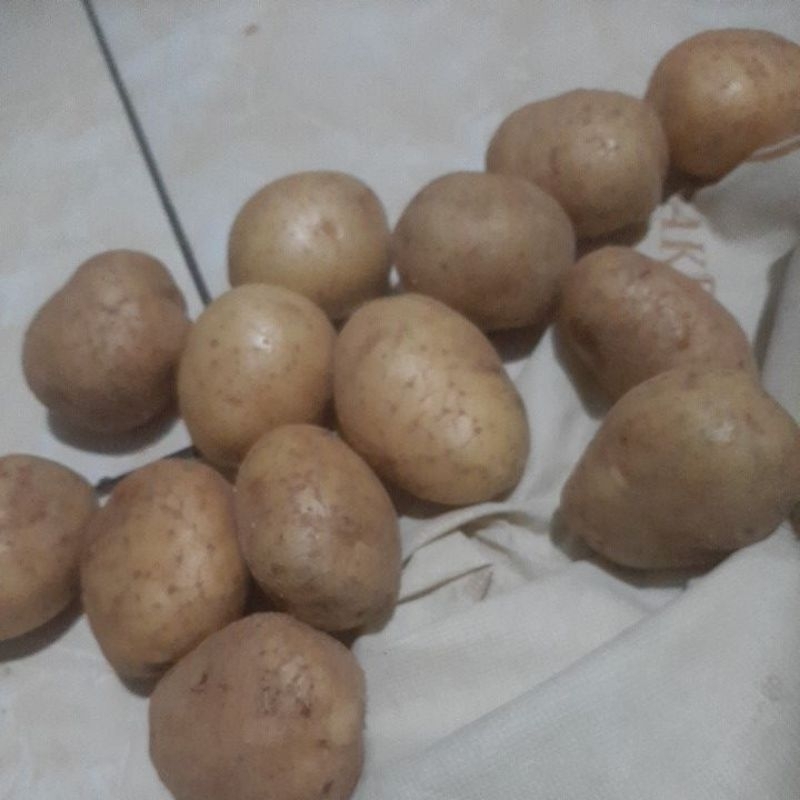 

Kentang Granola 1kg