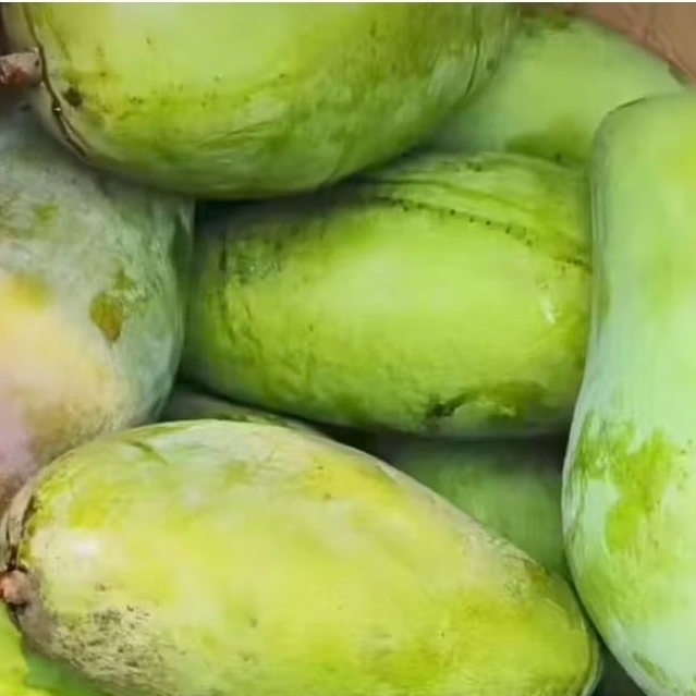 

MANGGA KIOJAY SUPER/Mangga thailand garing manis seger perkilo