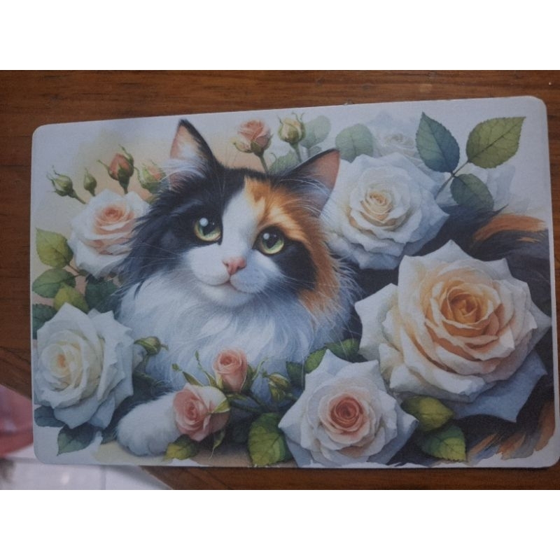 

kartu pos kucing/cat postcard
