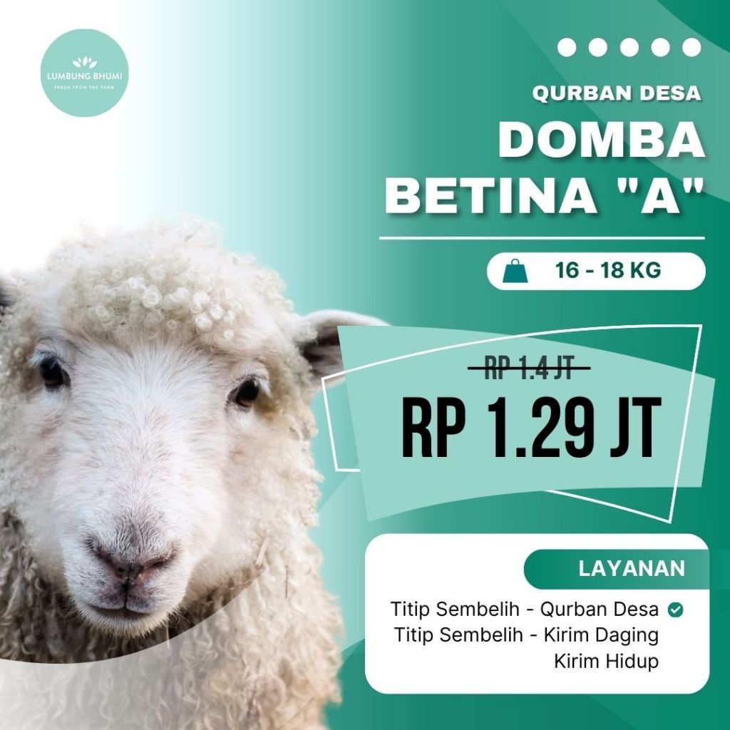 

Qurban Kurban QURBAN DESA Domba Tanduk - Lumbung Bhumi