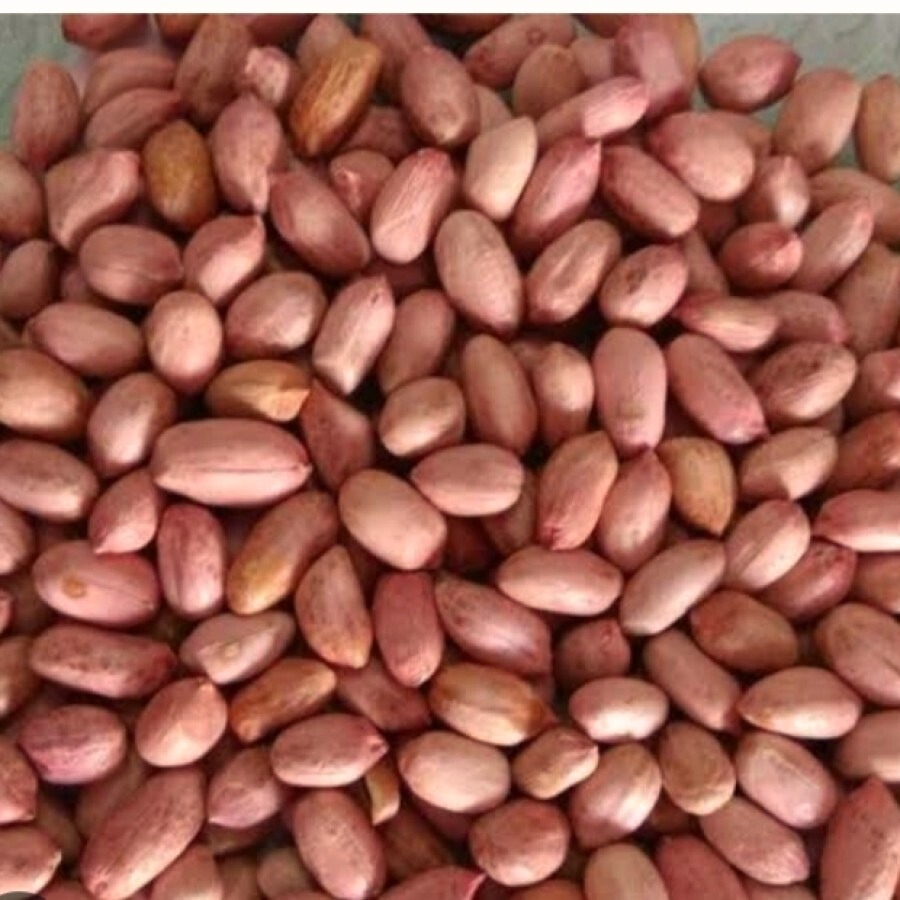 

Kacang tanah kupas 250gr murah