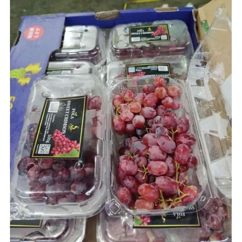 

buah Anggur fresh crimson tanpa biji(seedless)