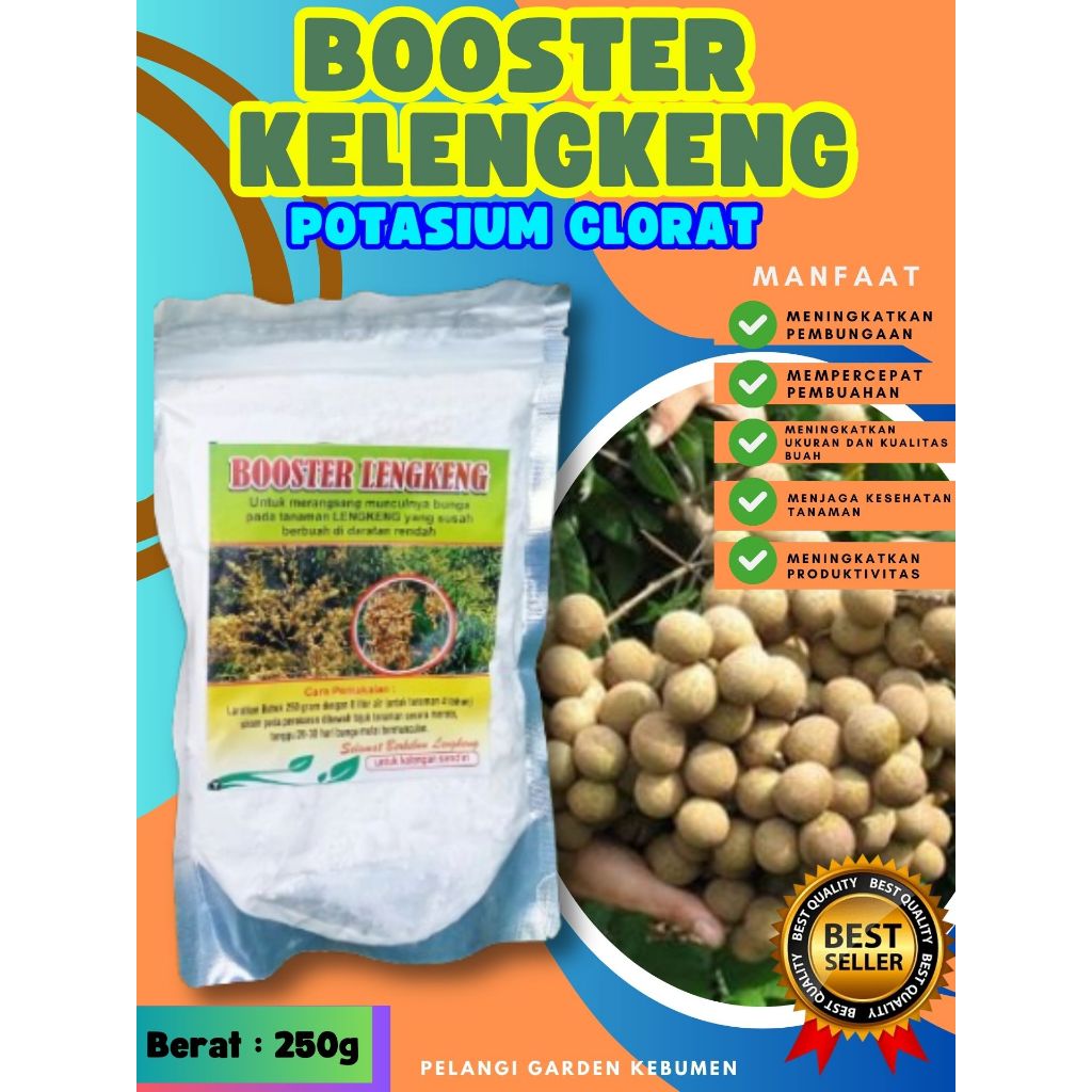BEST SELLER  Boster Kelengkeng Berbuah, Boster Kelengkeng Berbunga, Boster Kelengkeng Cepat Berbuah