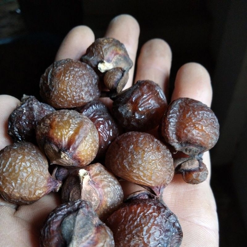 

buah lerak/sapidus rarak kering kemasan 1kg