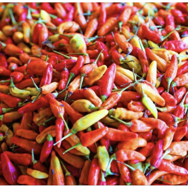 

CABE/CABAI RAWIT MERAH 500GR