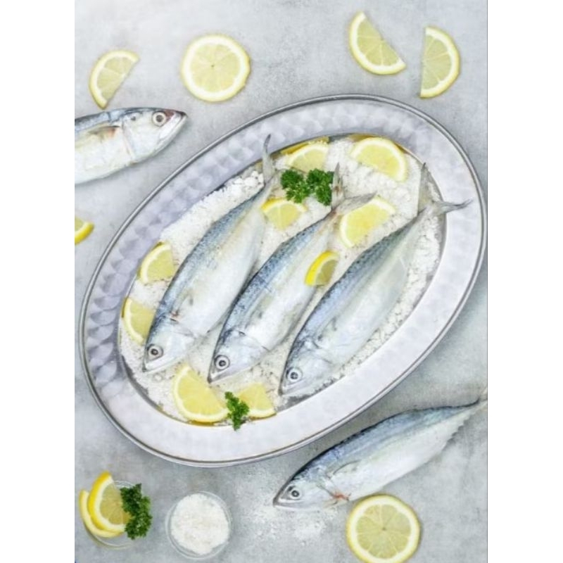 

Ikan Kembung