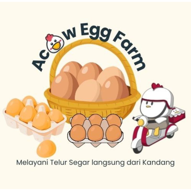 

Telur ayam