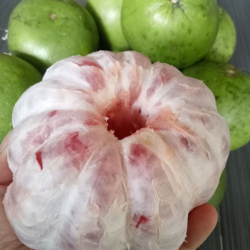 

Jeruk Bali Pamelo isi Merah
