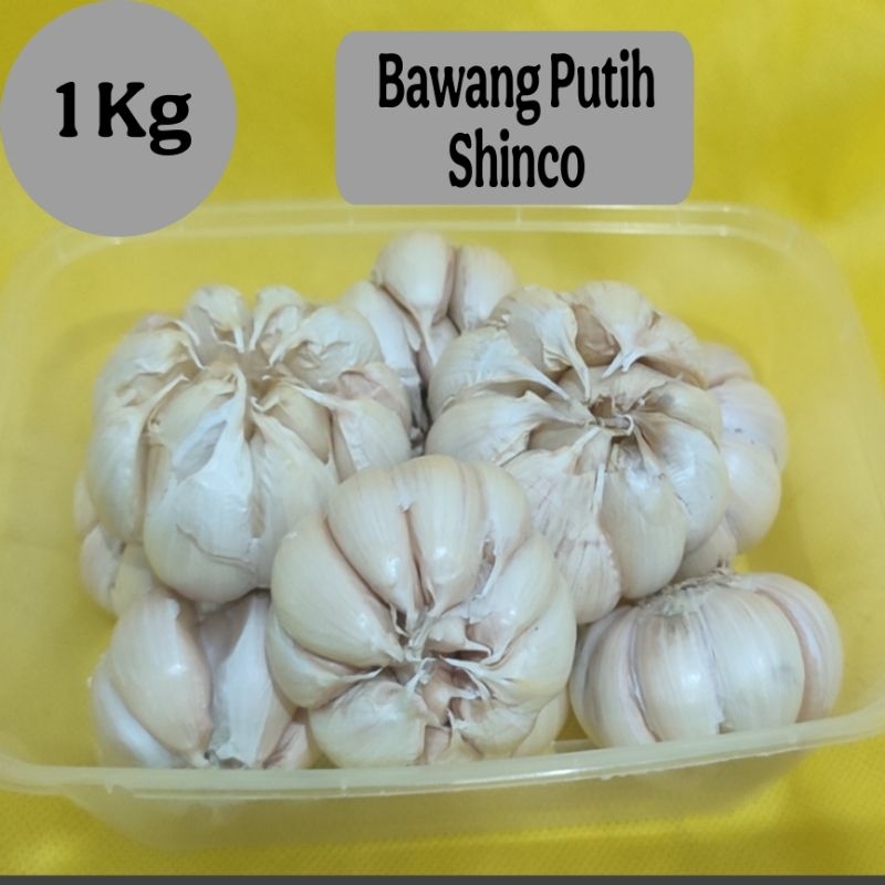 

BAWANG PUTIH SHINCO/RRT 1 KG MURAH - BERSIH - KERING - BUMBU DAPUR