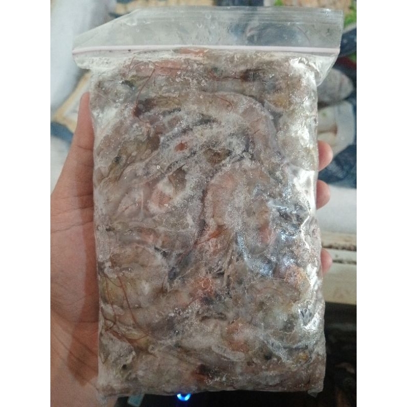 

Udang Ayah Lokal Fresh Beku 500gr size L (JEMBER)
