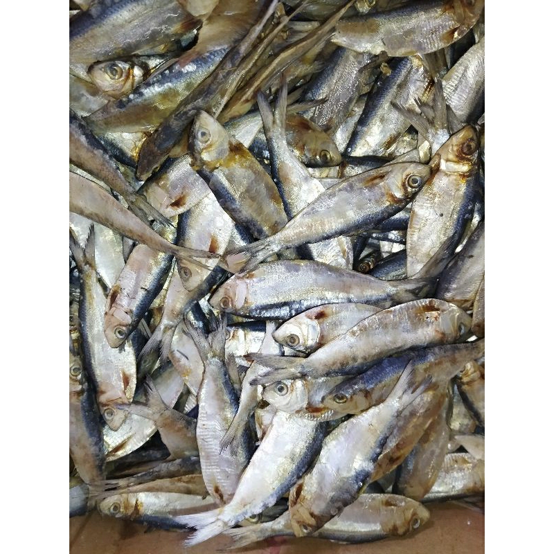 

iIKAN SESEK/IKAN KLOTOK/IKAN ASIN SESEK/MURAH 500/1000 gram