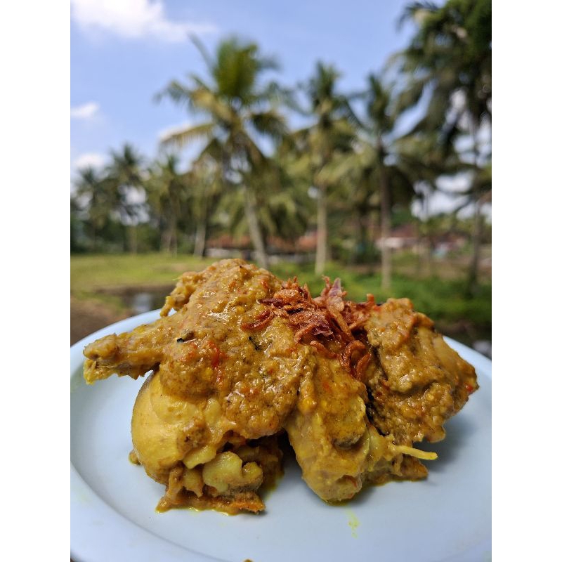 

Ayam Oblok
