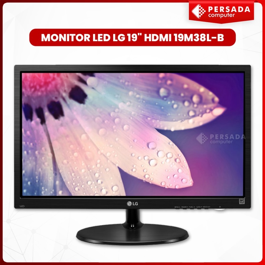 Monitor LED LG 19" HDMI 19M38L-B