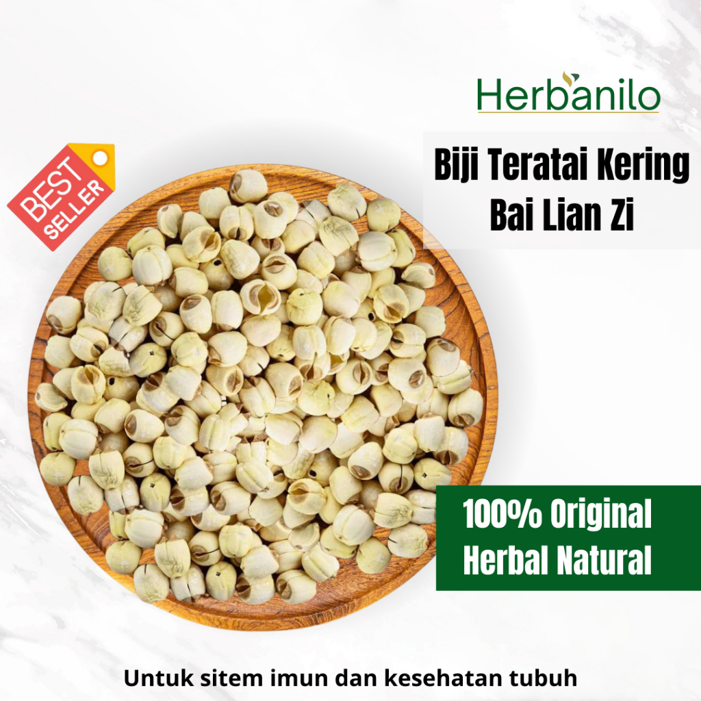 

Biji Teratai Kering Premium - Lian Zi - Lian Mi - Lotus Seed - Makanan Sehat Herbal alami