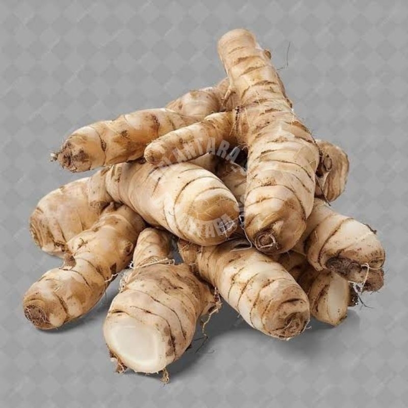 

Kunyit Putih-Temu Putih-Asli Organik Herbal CURCUMA ZEDOARIA 1KG COD