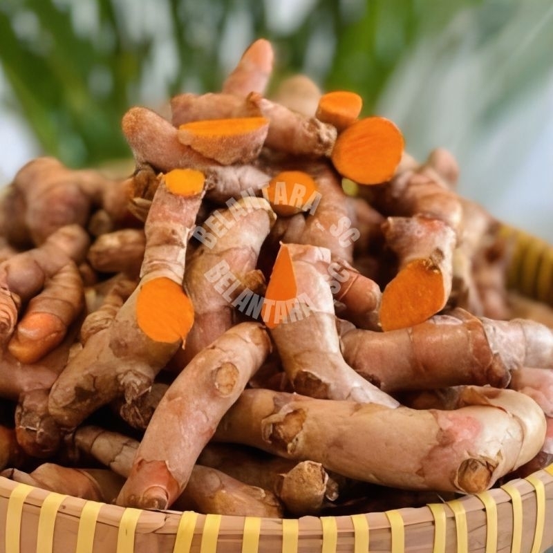 

Kunir/Kunyit segar 1kg