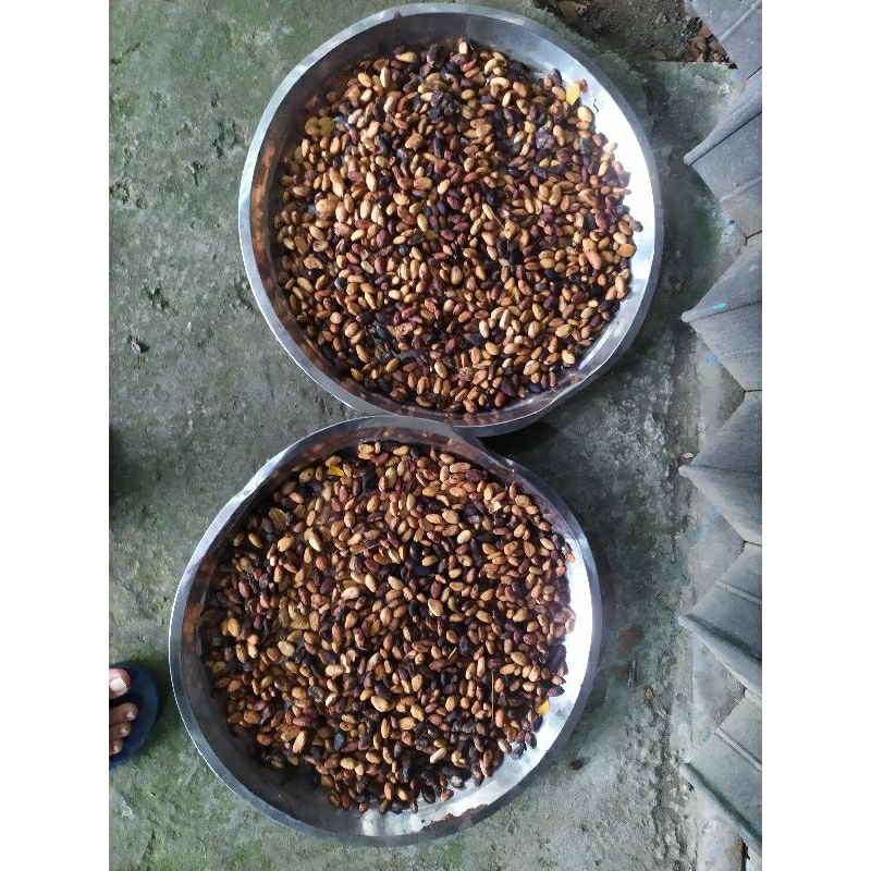 

Biji Kakao/Coklat per biji