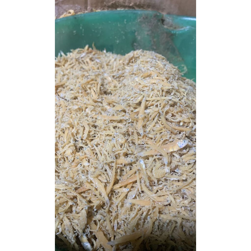 

Ikan Teri Medan 100gr Bersih Siap Masak Cocok Sambal Goreng Tumis Balado Lauk Gurih Renyah Lezat