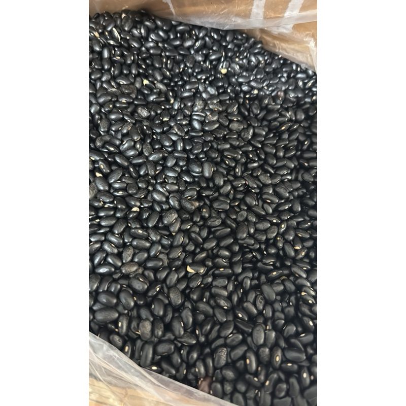 

Black Bean / Kacang Hitam 250gr