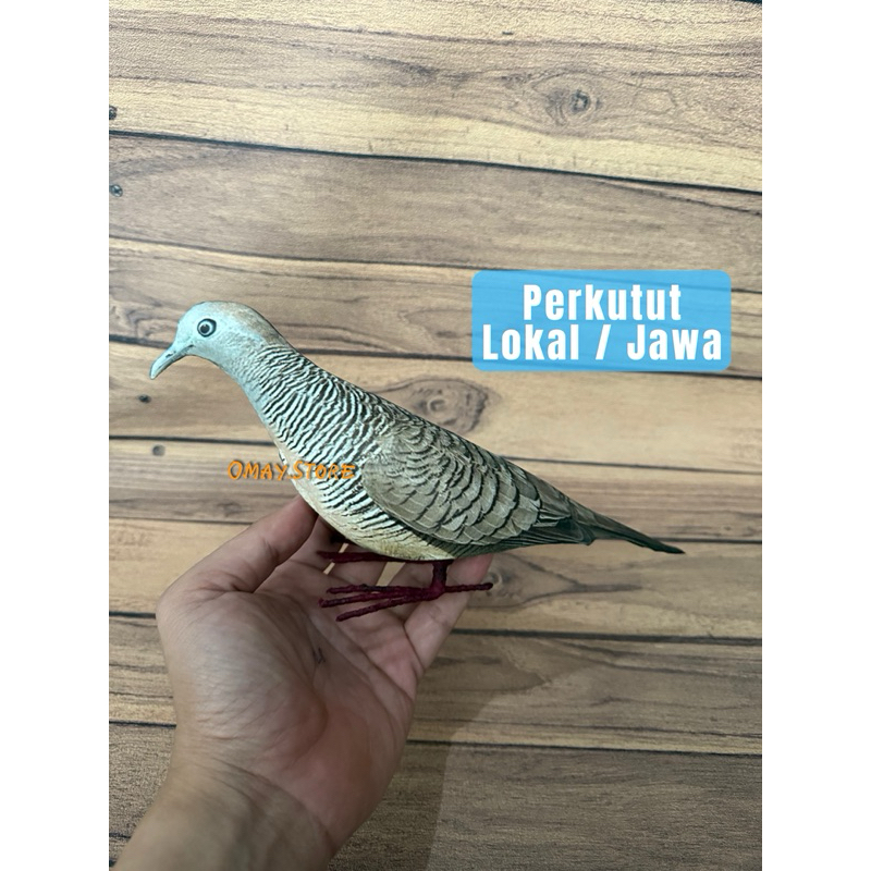 Patung burung perkutut lokal / Perkutut jawa