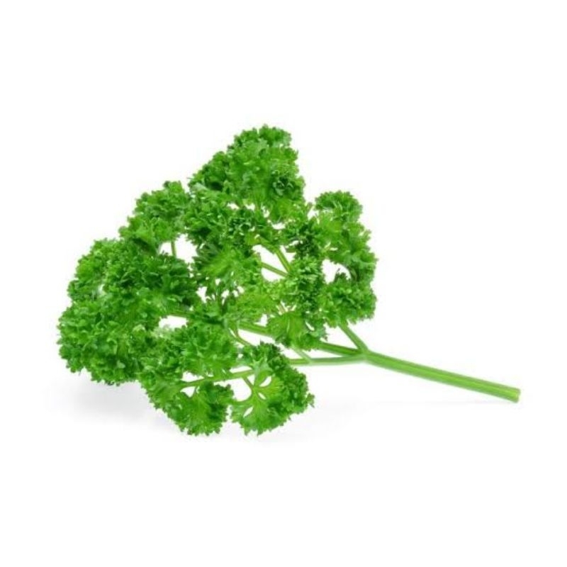 

Daun Parsley - Curly Parsley 100 gram