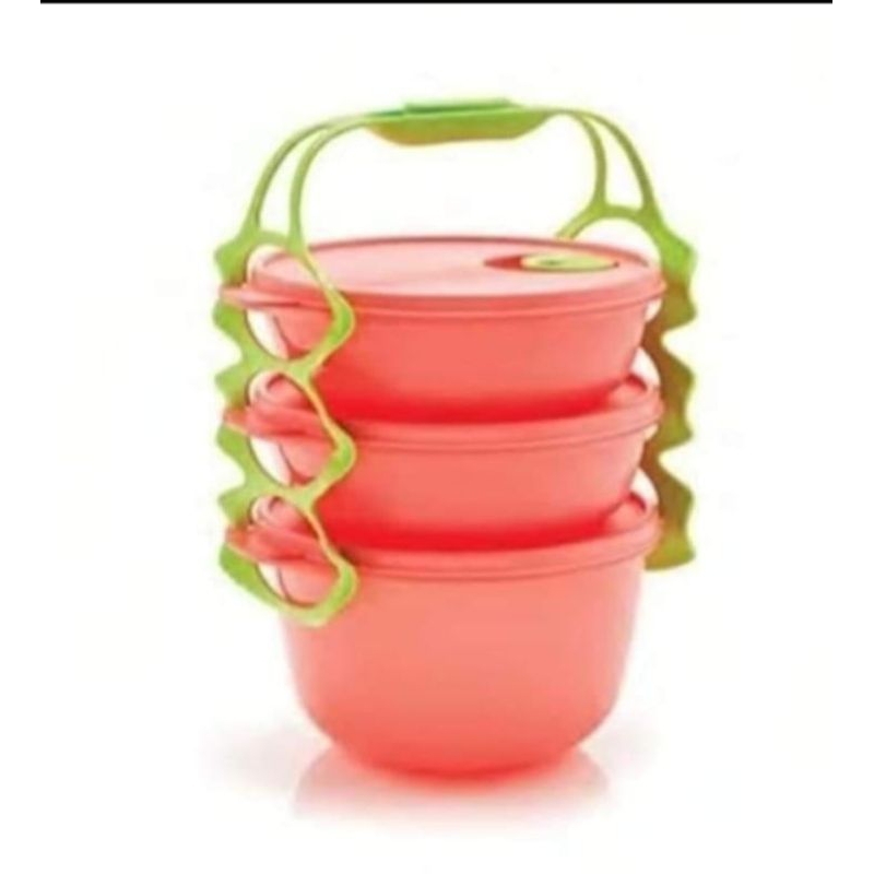 Carry All Bowl/Tupperware Rantang